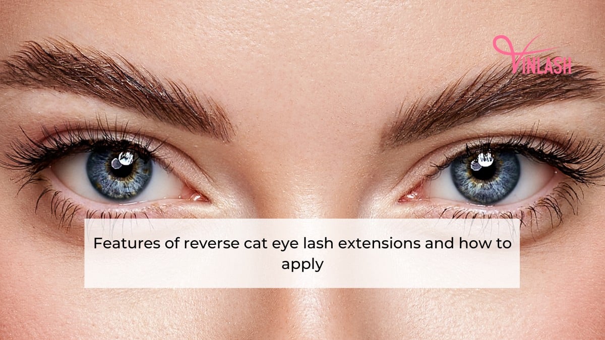 features-of-reverse-cat-eye-lash-extensions-and-how-to-apply
