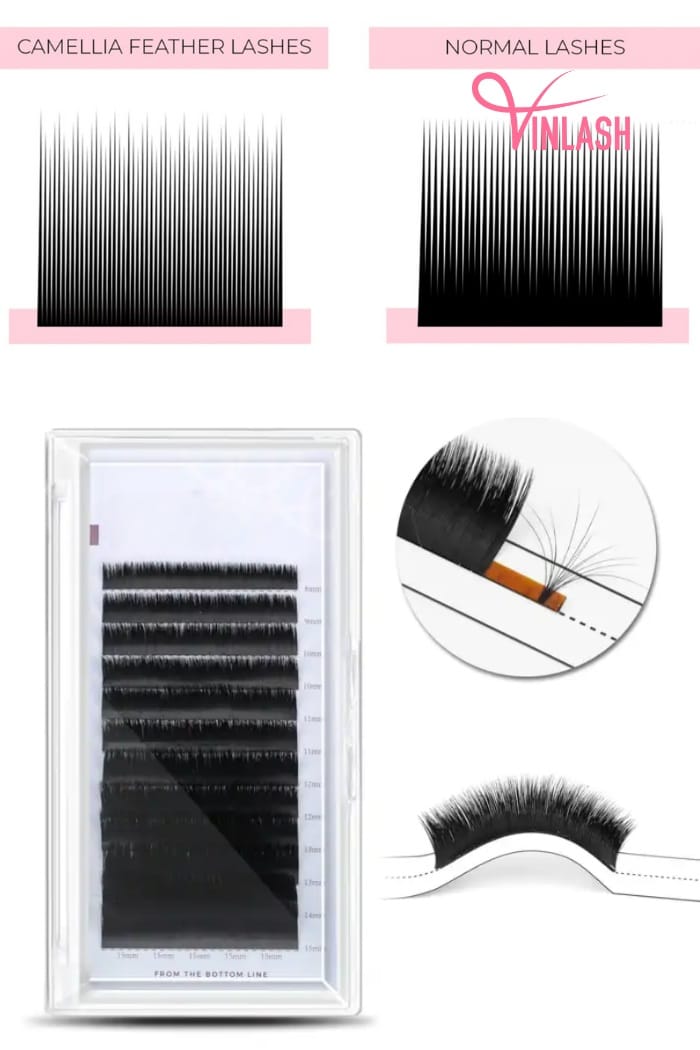 top-10-best-mink-eyelash-wholesale-distributor-usa-10