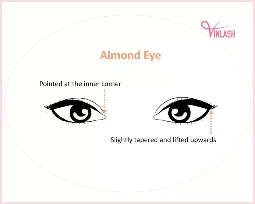 how-to-partner-with-the-right-25mm-lashes-vendor-catering-to-your-business-needs-3