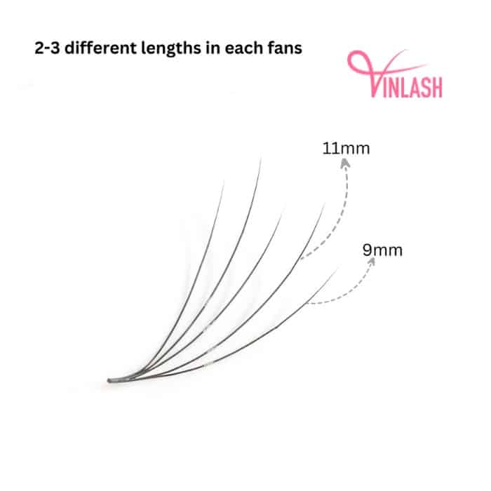 Camellia pre-made fans black loose 500 fans VLV044-2