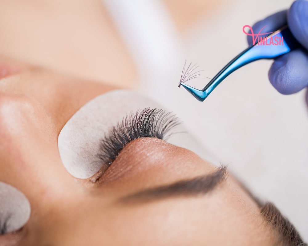 finding-the-best-lash-vendors-for-novices-entering-the-industry-3