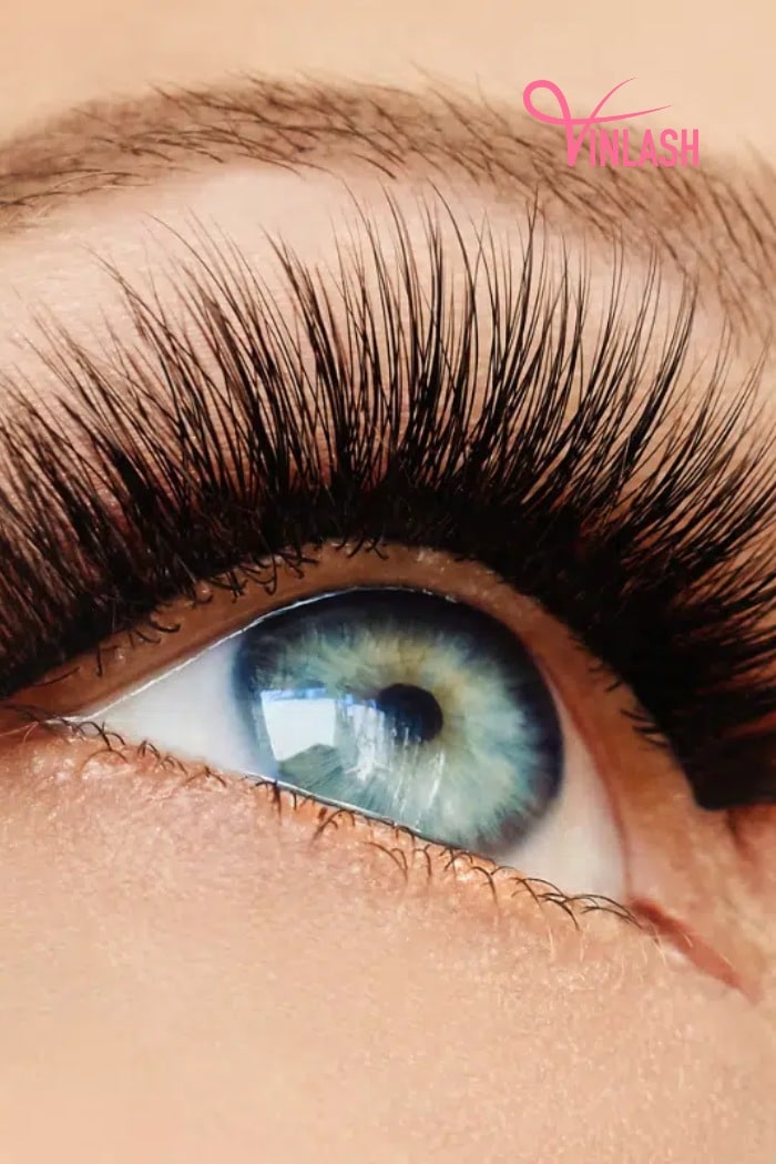 get-rich-with-mink-lash-extensions-2