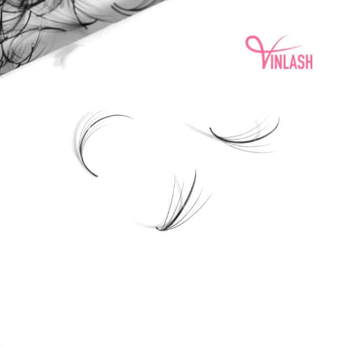 Wispy eyelash extensions single-color loose 500 fans VLV038-3