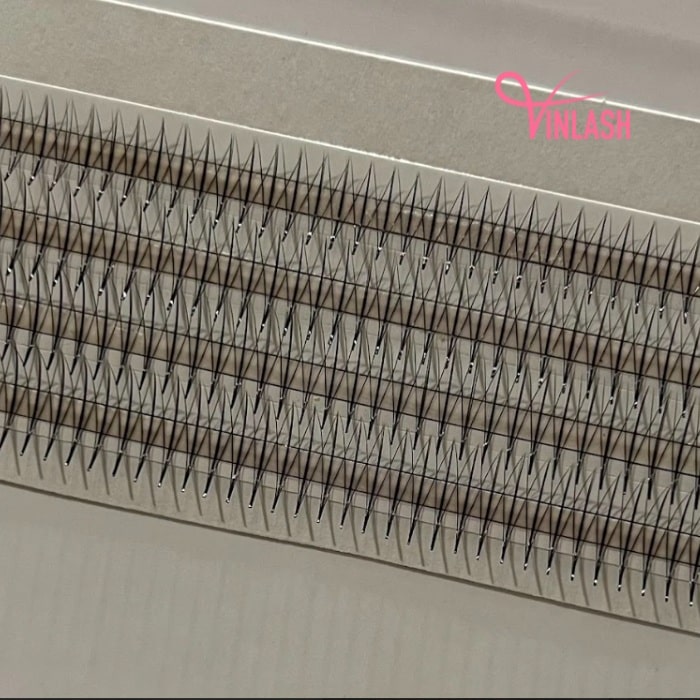 Special spike camellia pre-made fans single-color box L 20 lines VLV055-3