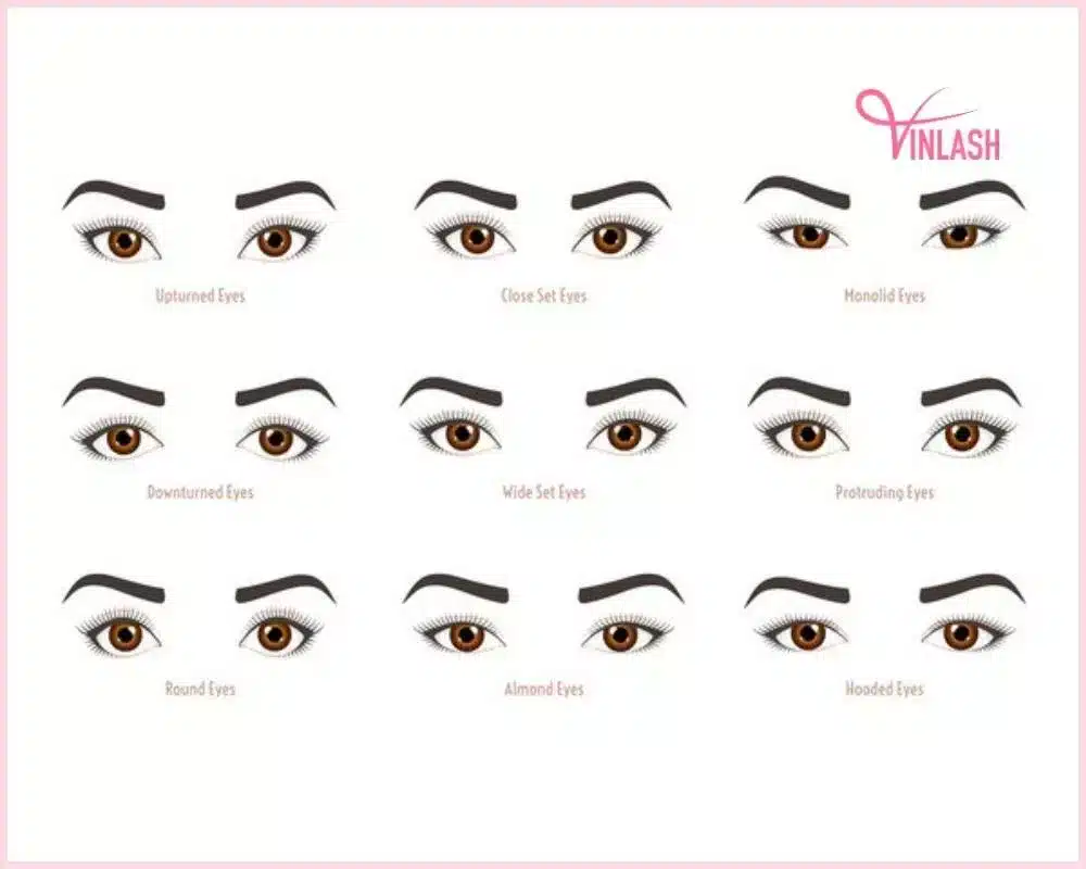 how-to-partner-with-the-right-25mm-lashes-vendor-catering-to-your-business-needs-4