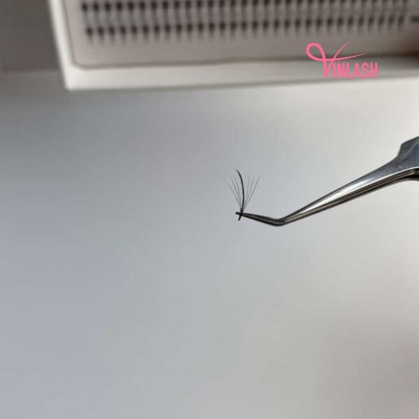 narrow-pre-made-fans-3d-to-20d-single-color-box-l-20-lines-vlv015-4