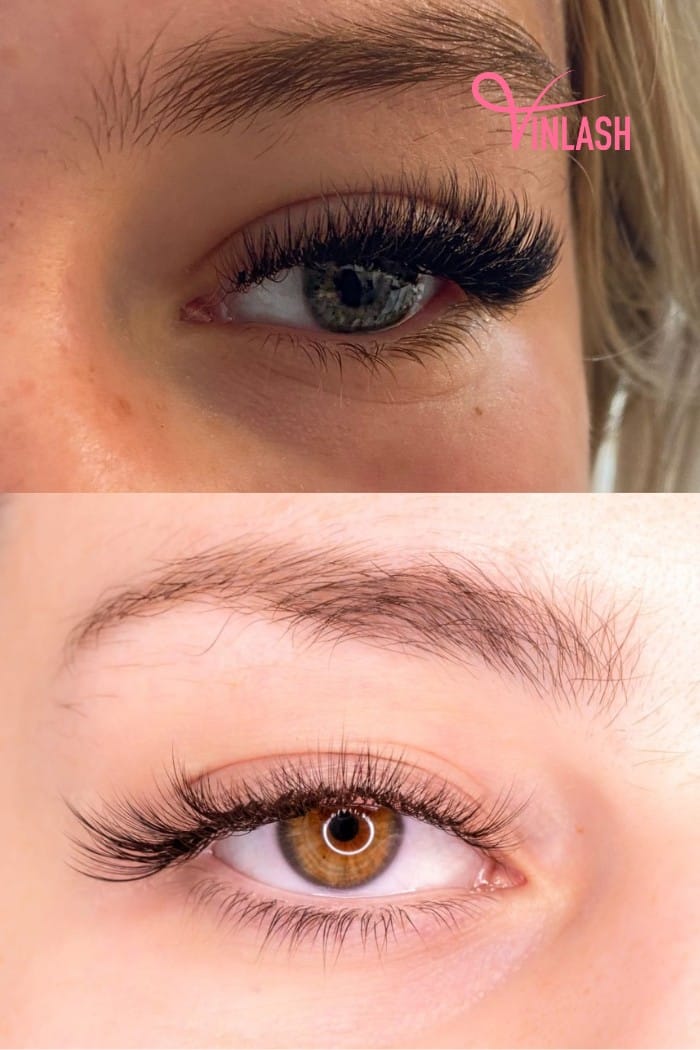 Difference Between Cat Eye and Kitten Eyelashes