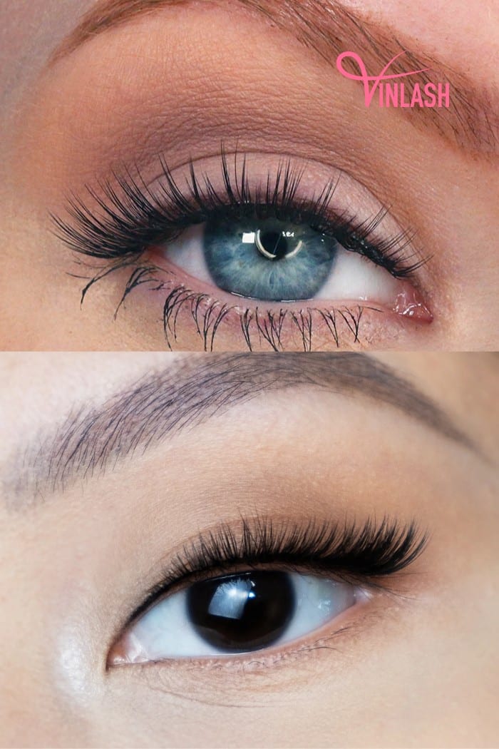 What Do Kitten Lashes Look Like?