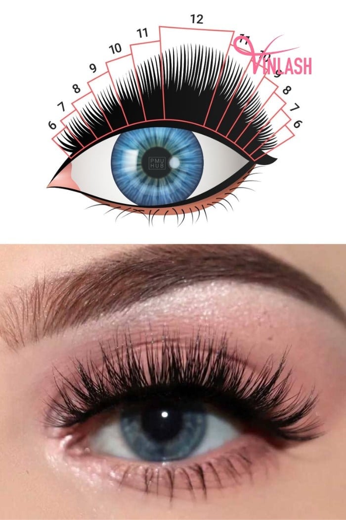 Squirrel Eye Eyelash Extensions