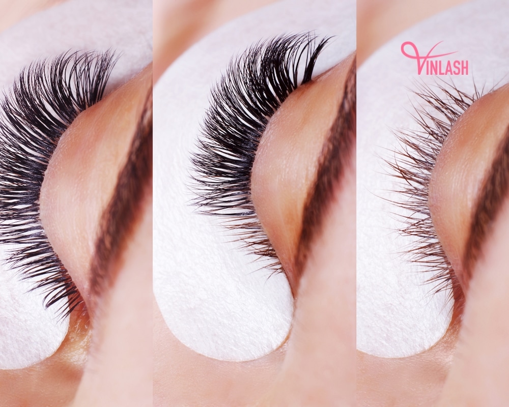 professional-eyelash-supplies-5