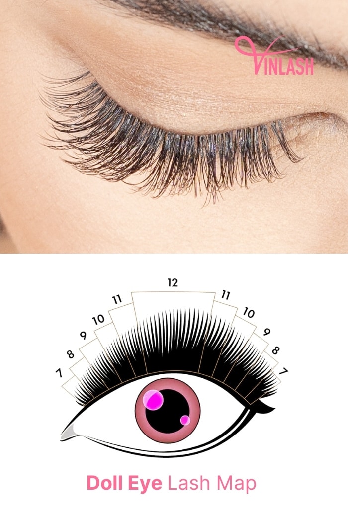 Lash Map For Doll Eye Lash Extensions