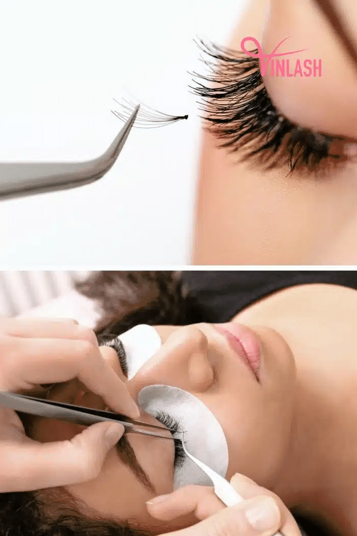 Detailed application steps for hybrid lashes